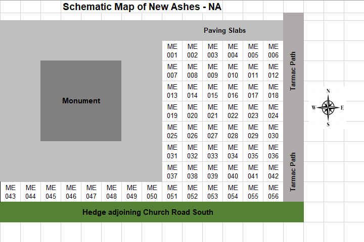 MI Area Plan - NAME