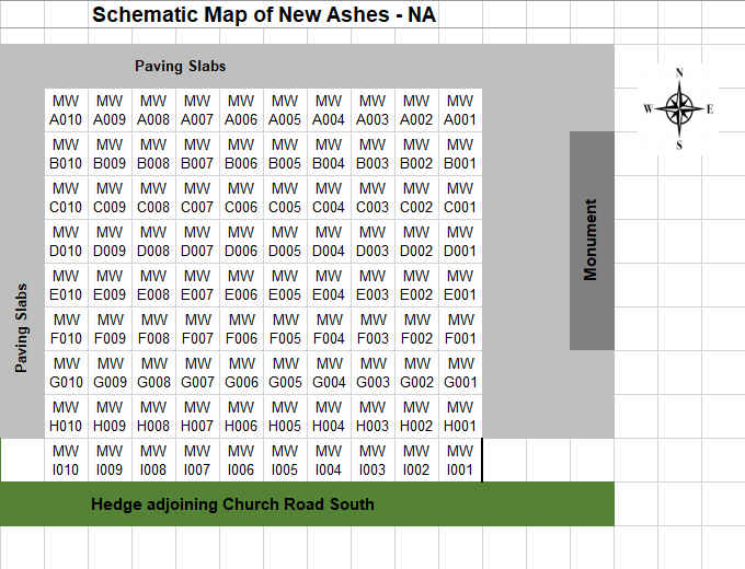 MI Area Plan - NAMW