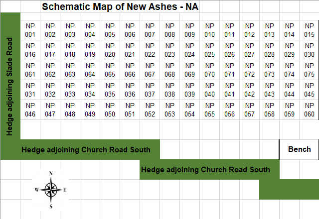 MI Area Plan - NANP